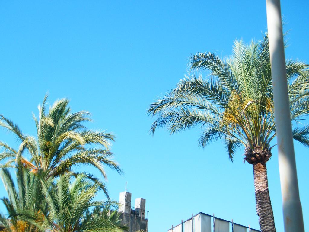 Appartamento Vacanze I Provenzali Bordighera Eksteriør bilde